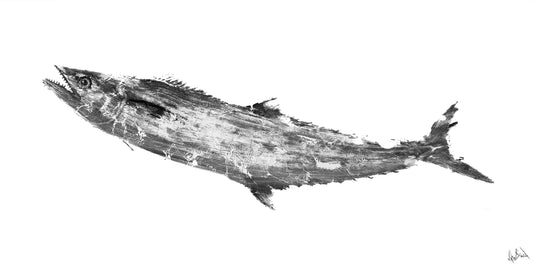 Black and White Mackerel Glossy Poster Print