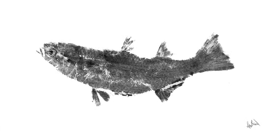 Black and White Mullet Fine Art Paper Print