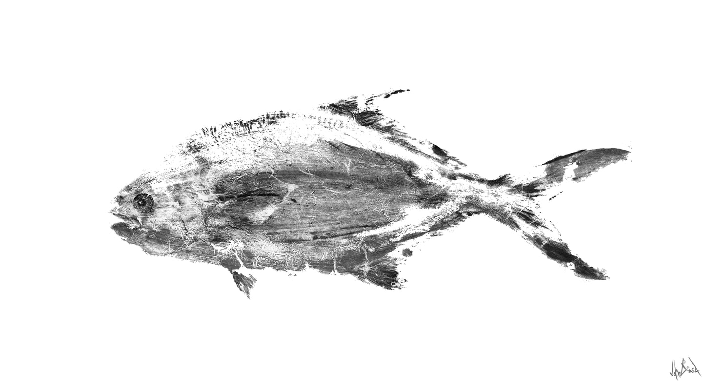 Black and White Pompano Fine Art Paper Print