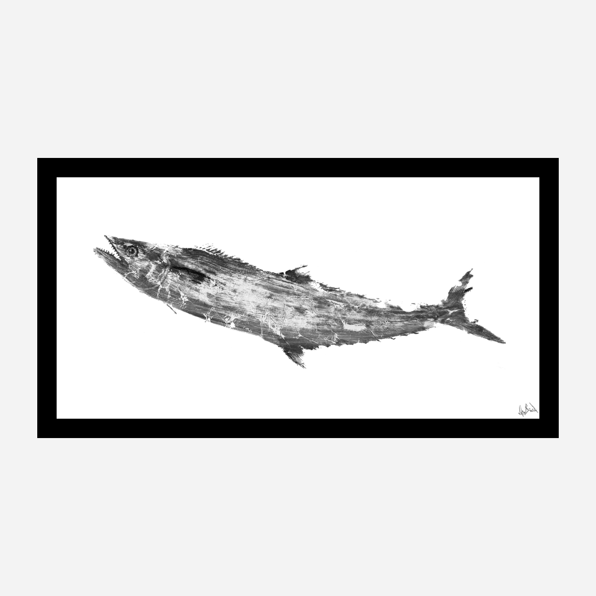 Black and White Mackeral Fine Art Paper Print