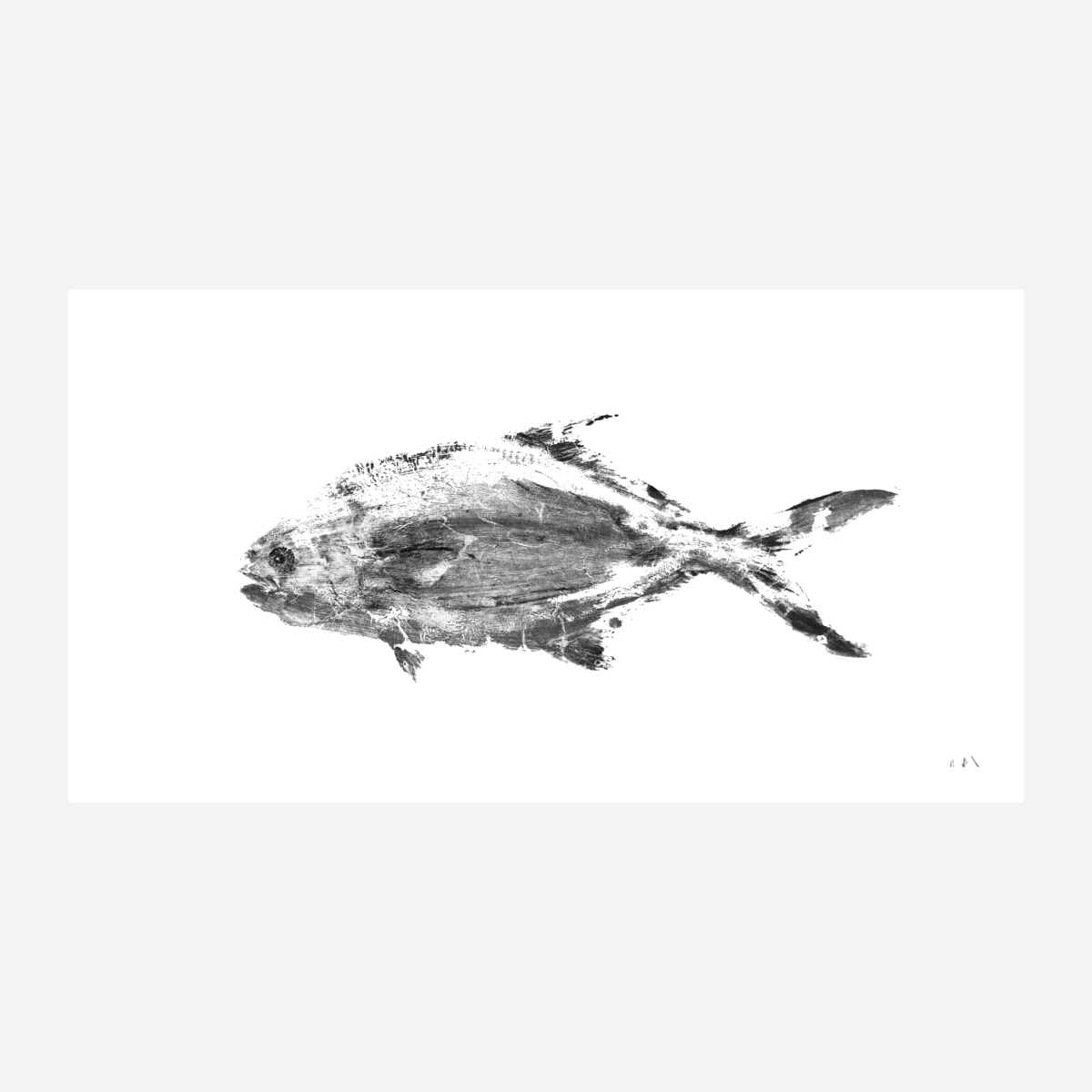 Black and White Pompano Fine Art Paper Print