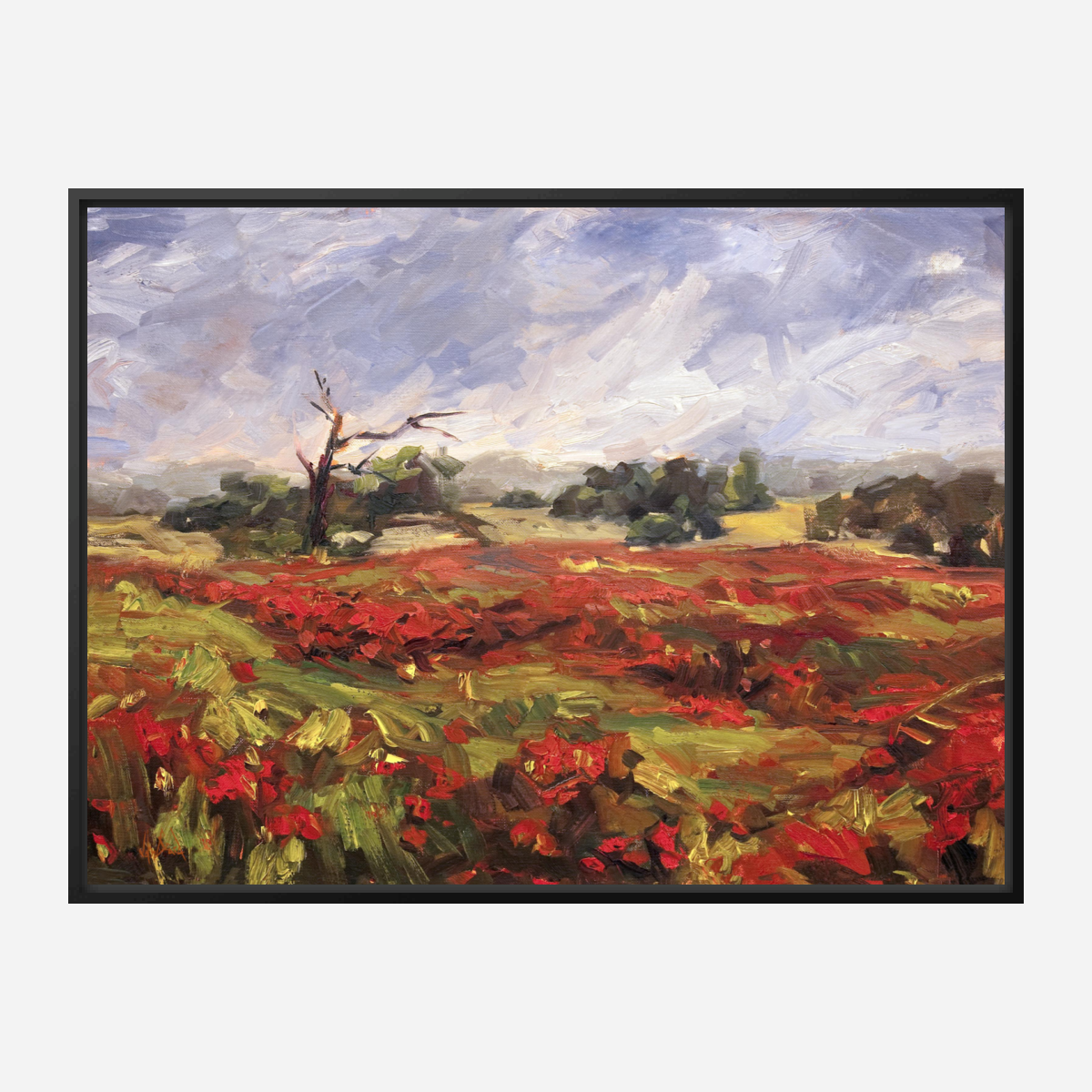 Blaze of Poppies Artist Enhanced Canvas Print