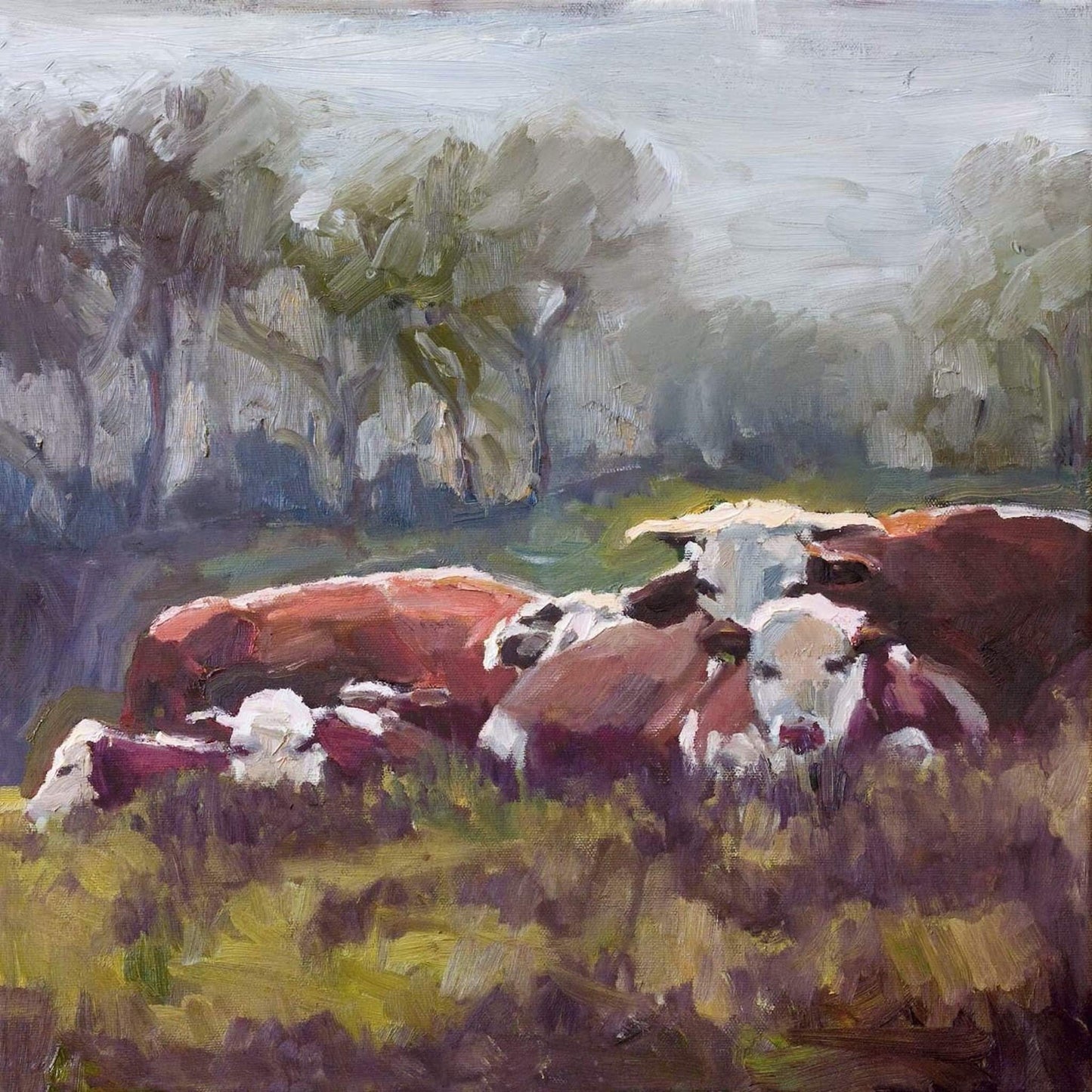 Five Cows Glossy Poster Print