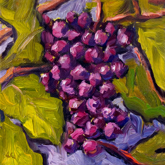 Grapes High Gloss Acrylic Print