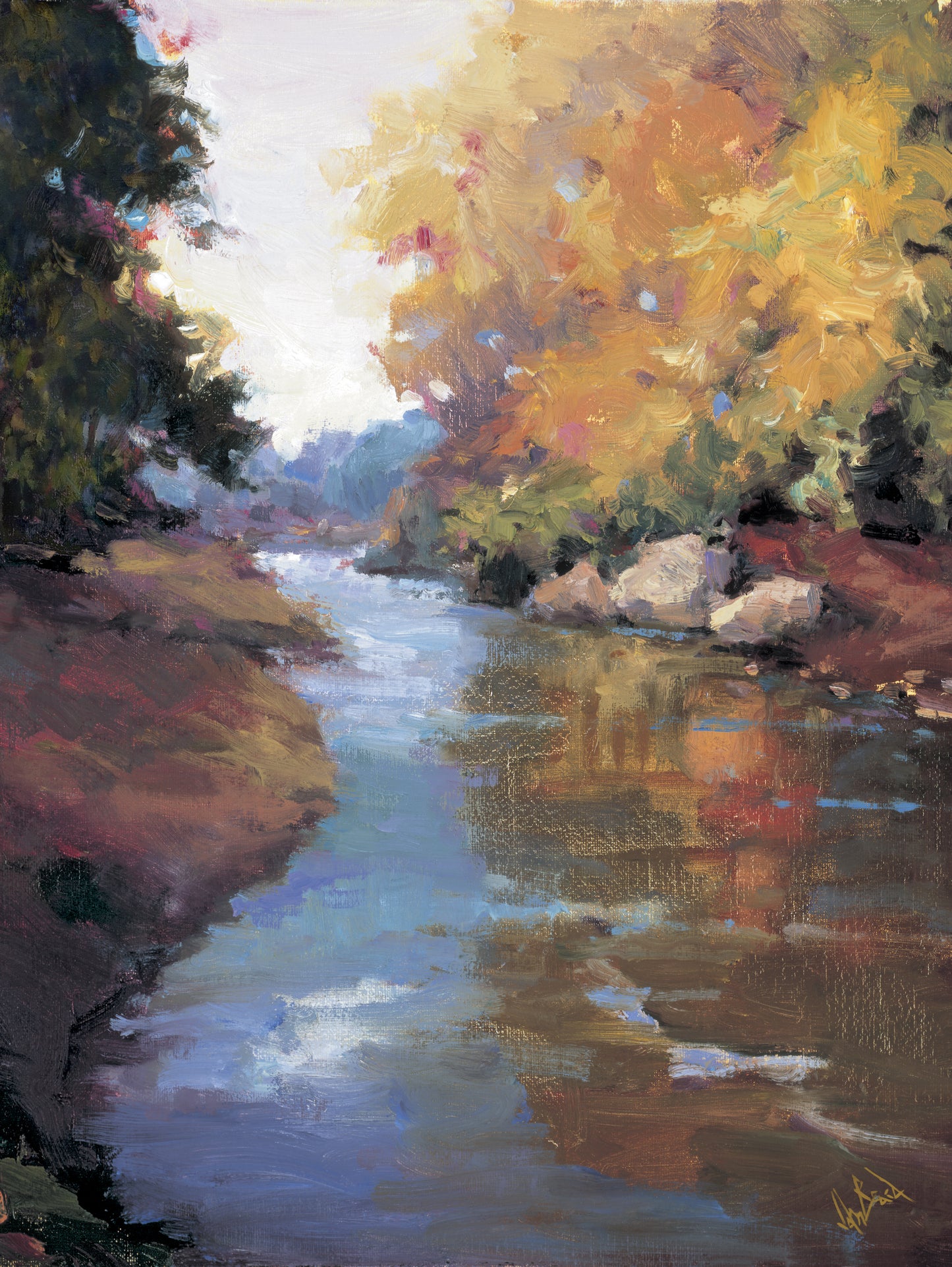 Mountain Stream Artist Enhanced Canvas Print