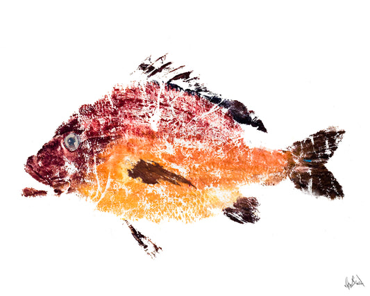 Red Fish II Glossy Poster Print