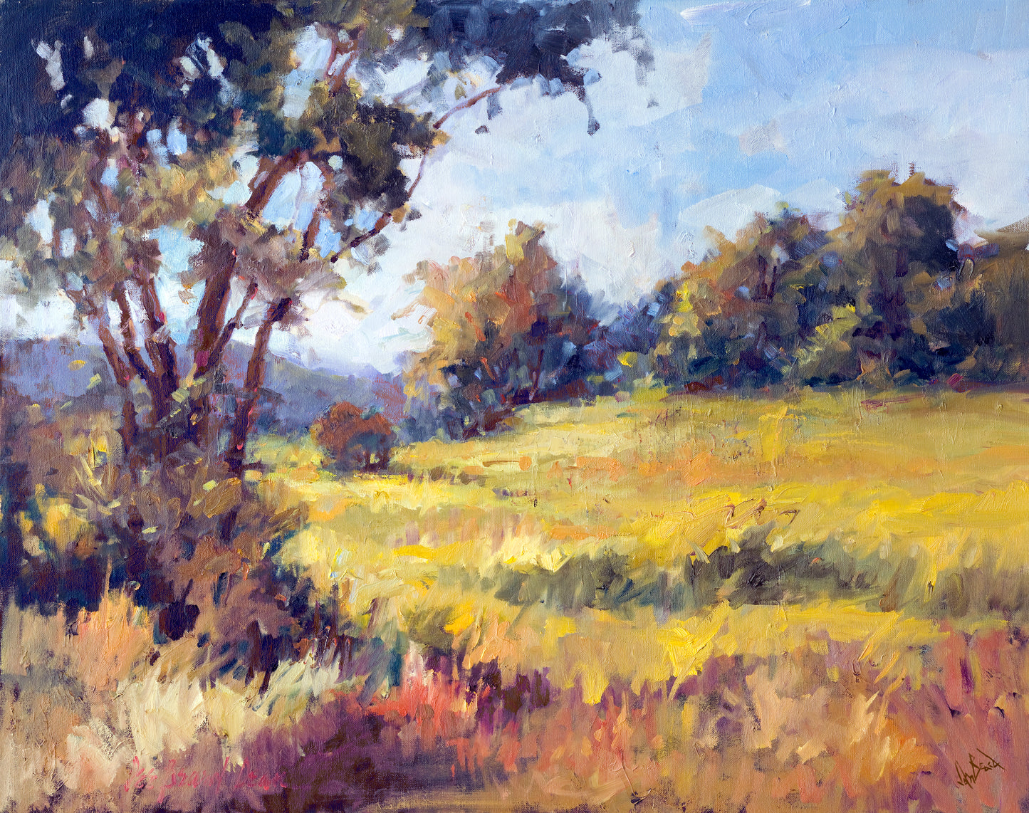 Sunlit Meadow Artist Enhanced Canvas Print