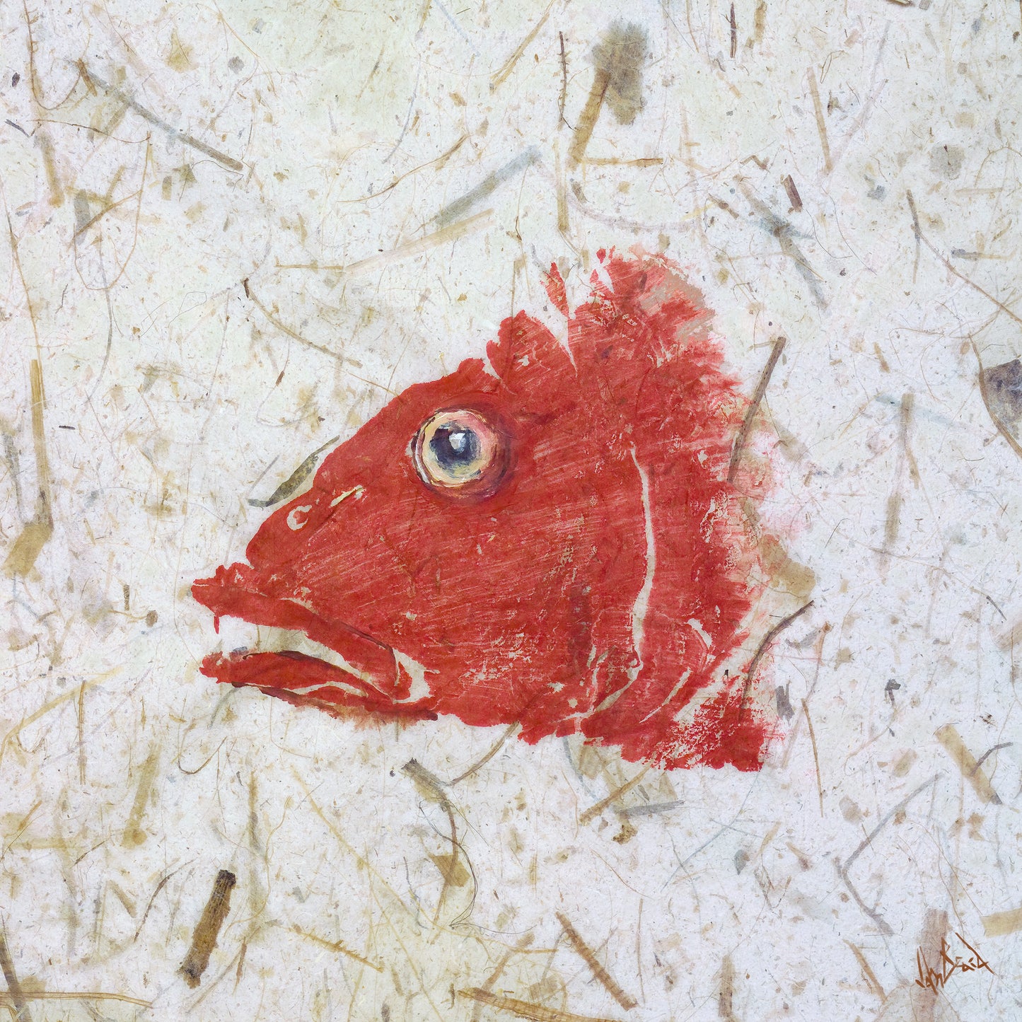 Snapper Red High Gloss Metal Print