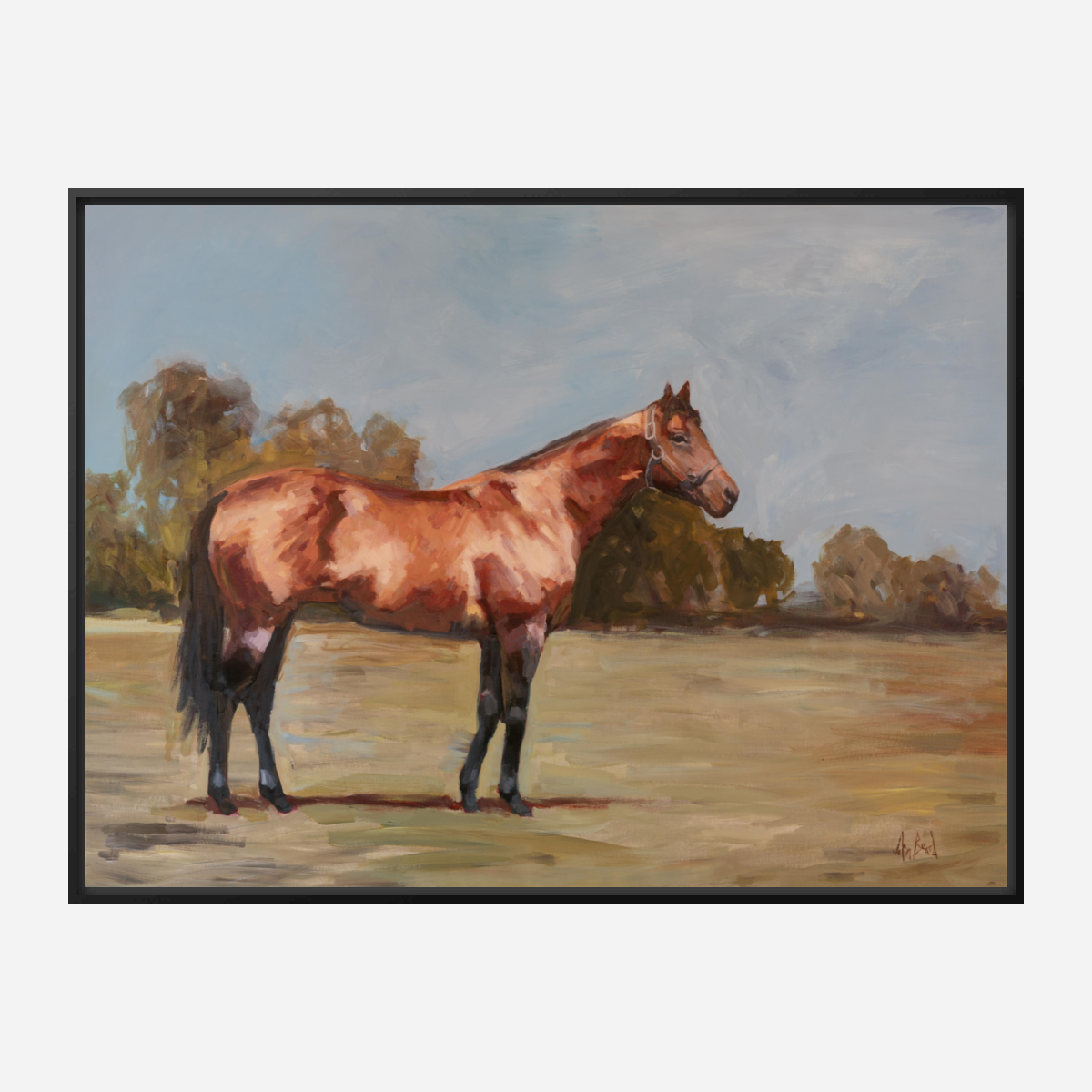 Champion Artist Enhanced Canvas Print