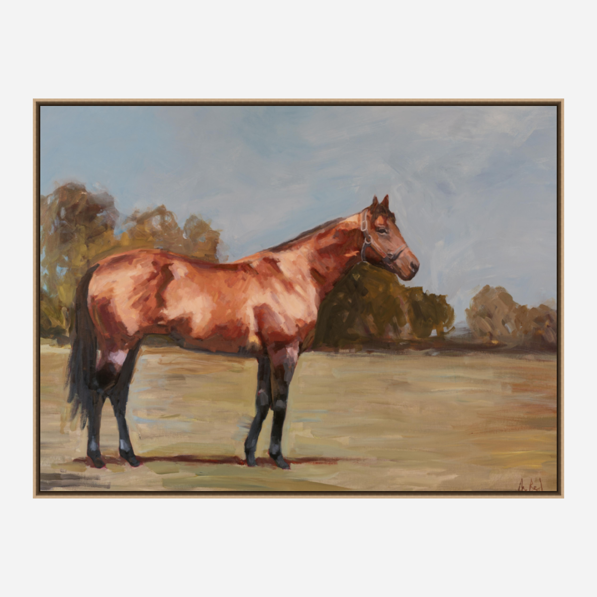 Champion Artist Enhanced Canvas Print