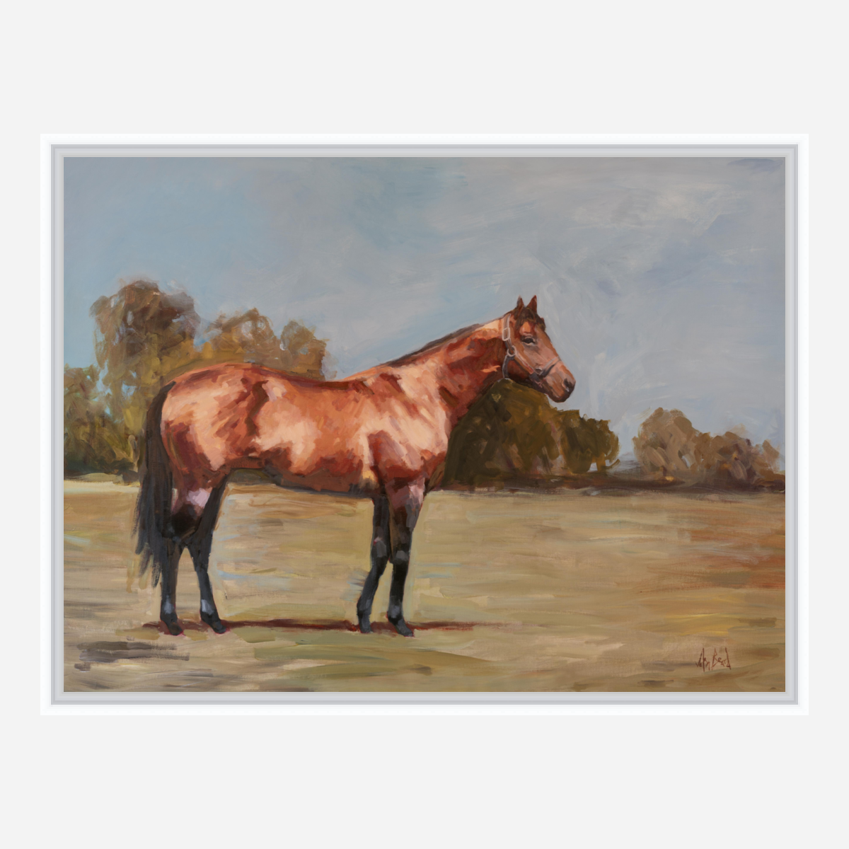 Champion Artist Enhanced Canvas Print