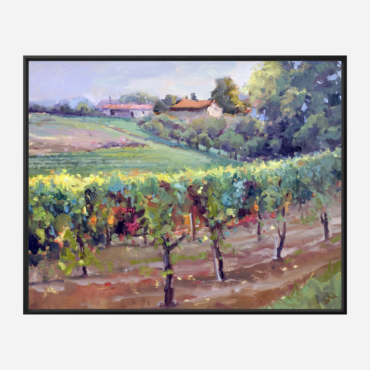 Charentes Vineyard Artist Enhanced Canvas Print