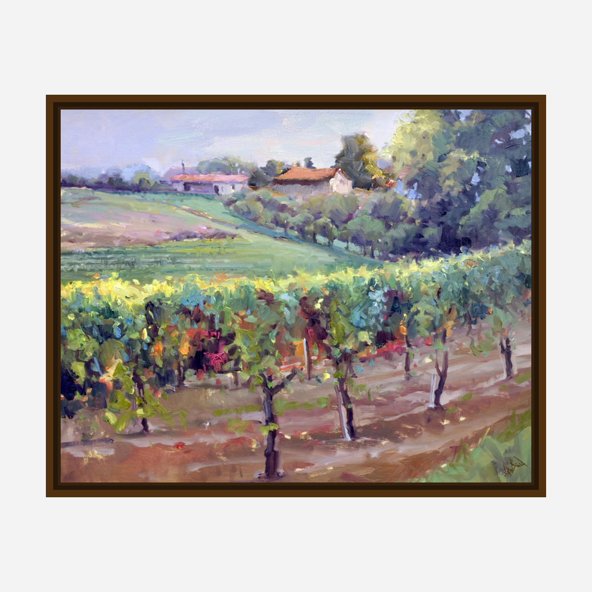 Charentes Vineyard Artist Enhanced Canvas Print