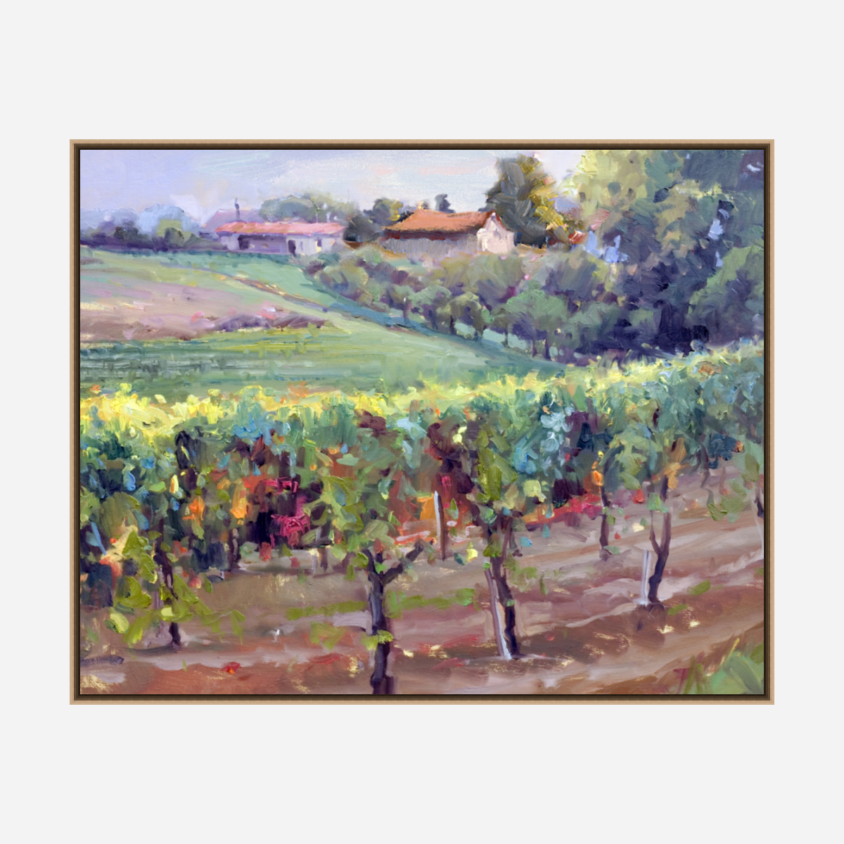 Charentes Vineyard Artist Enhanced Canvas Print