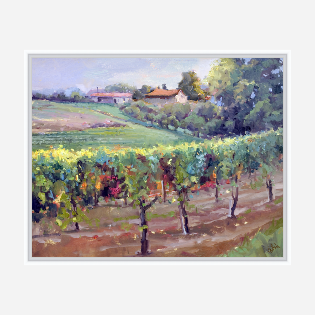 Charentes Vineyard Artist Enhanced Canvas Print