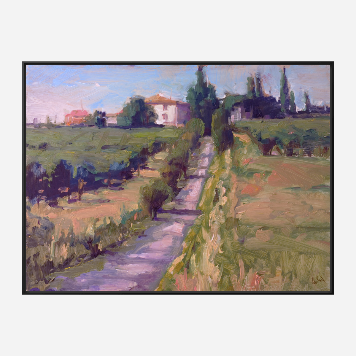 Country Vineyard Enhanced Canvas Print