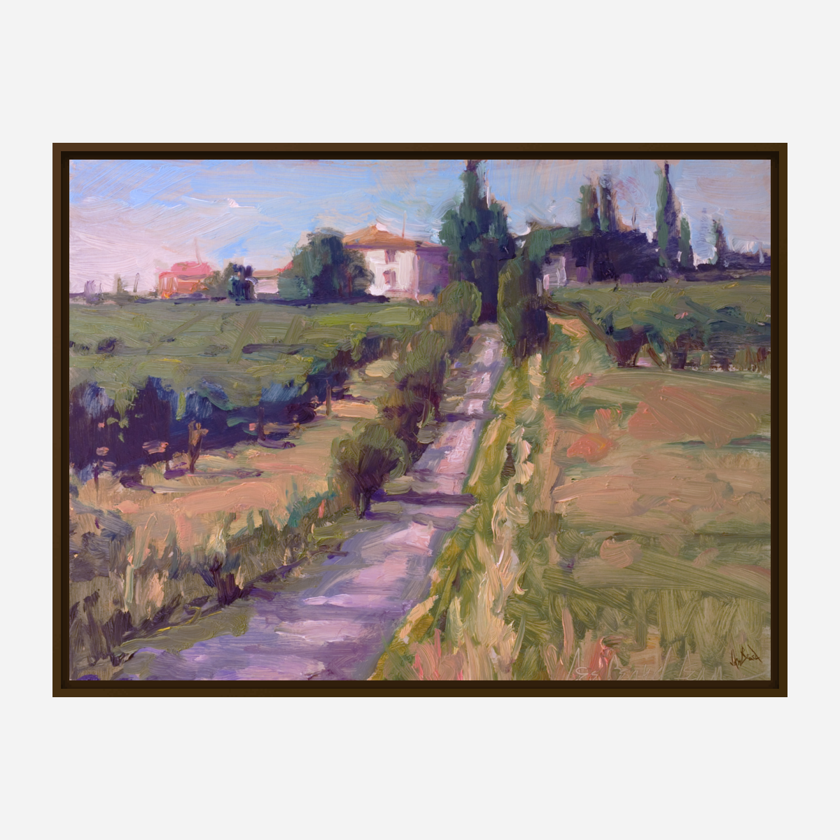 Country Vineyard Enhanced Canvas Print