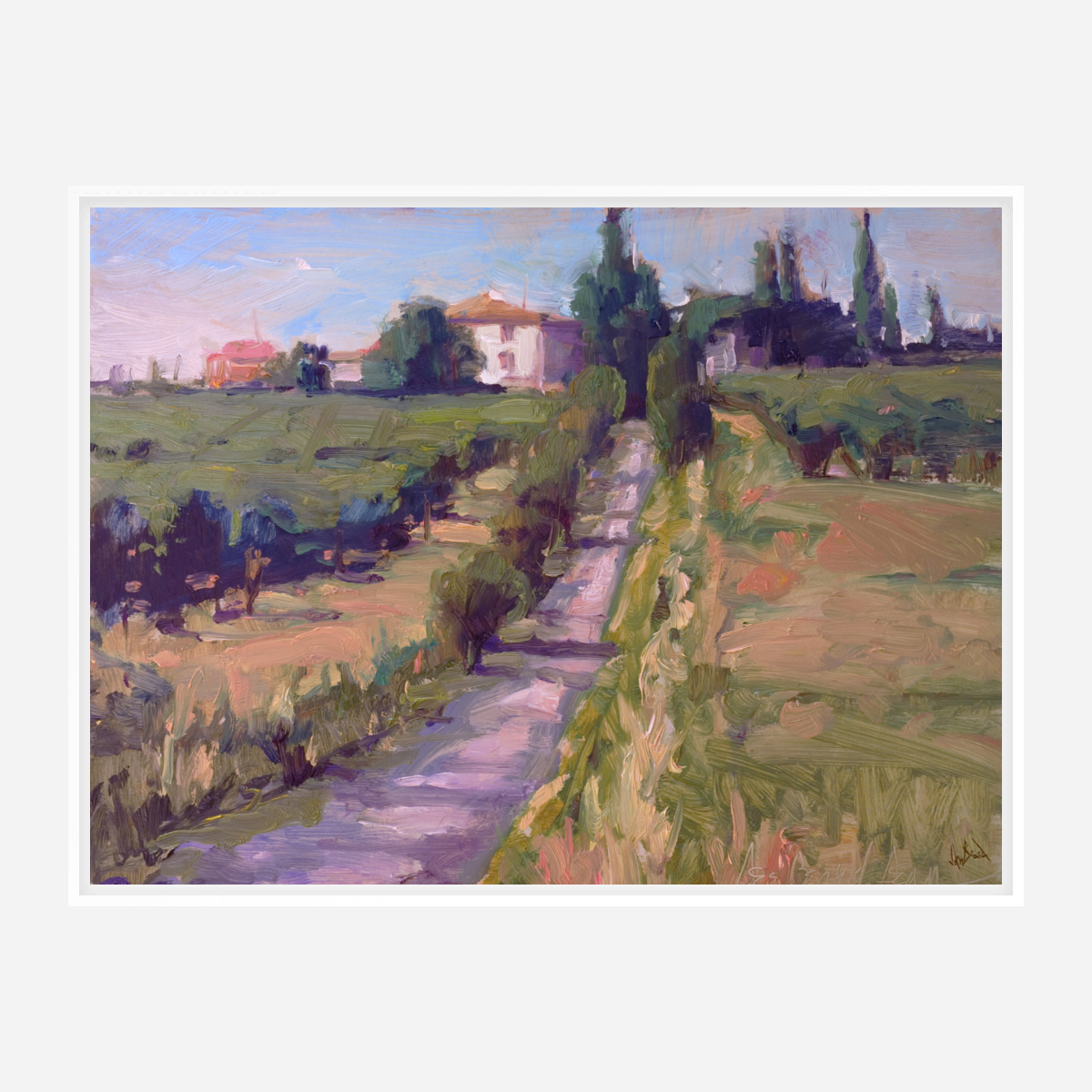 Country Vineyard Enhanced Canvas Print