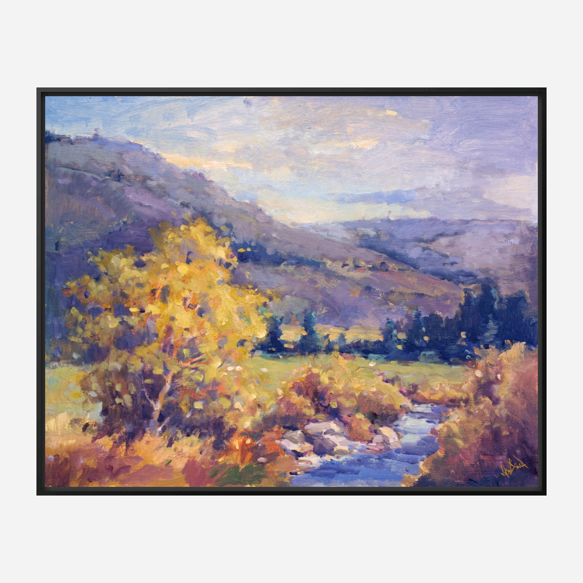 Creek in the Valley Artist Enhanced Canvas Print