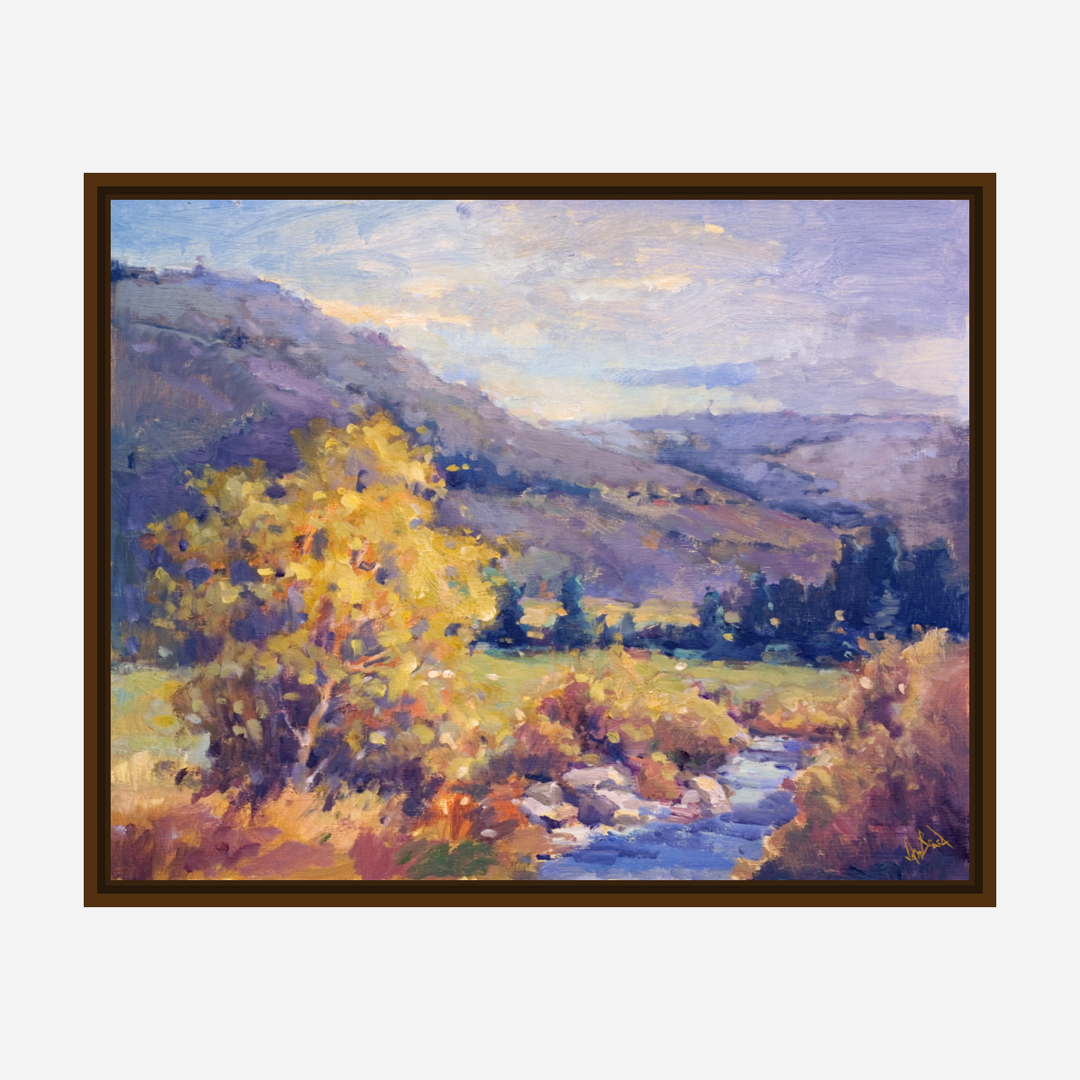 Creek in the Valley Artist Enhanced Canvas Print