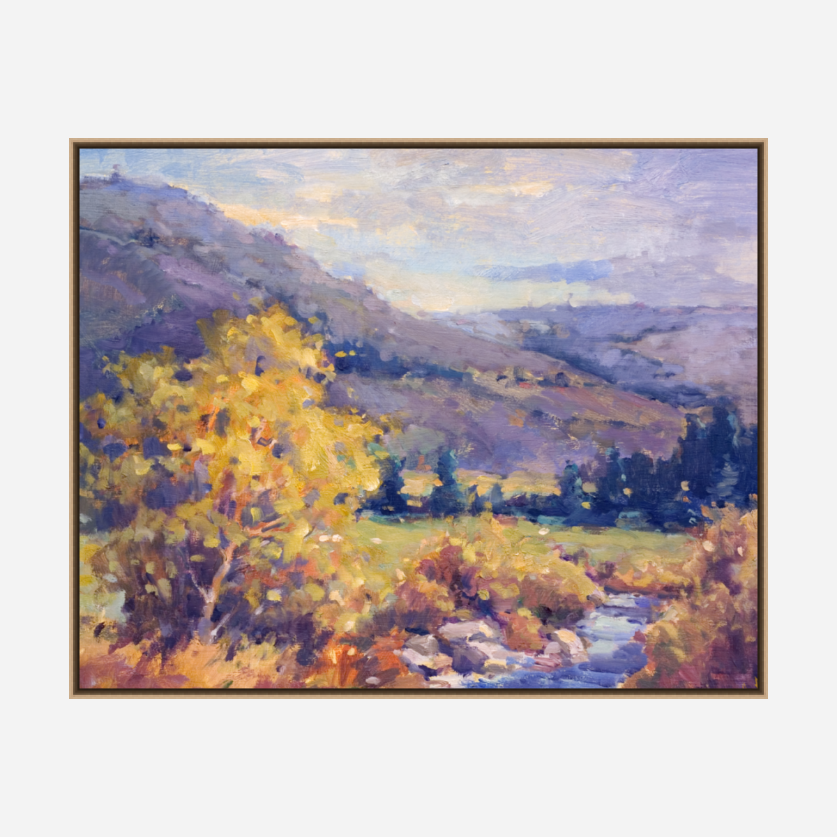 Creek in the Valley Artist Enhanced Canvas Print