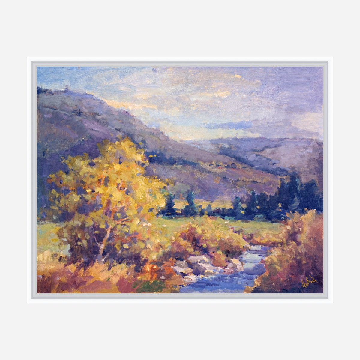 Creek in the Valley Artist Enhanced Canvas Print