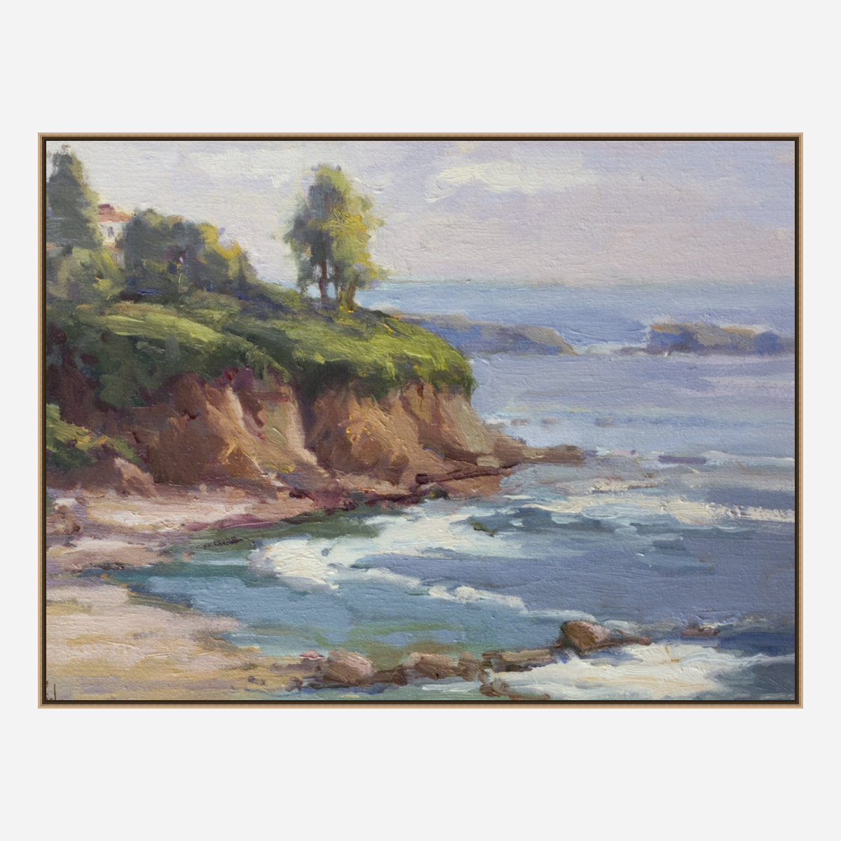 Laguna Cliffs Artist Enhanced Canvas Print