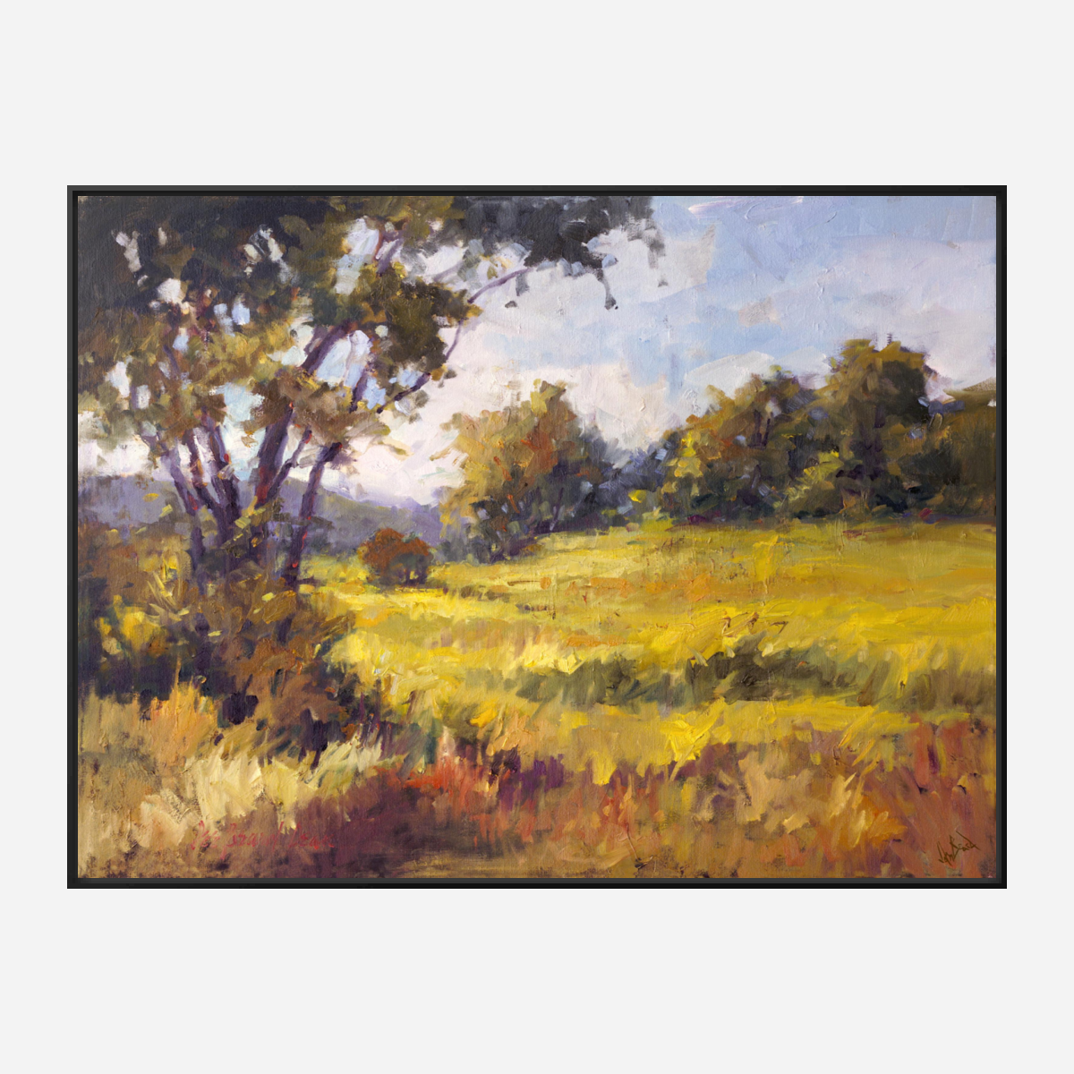 Light on the Meadow Artist Enhanced Canvas Print