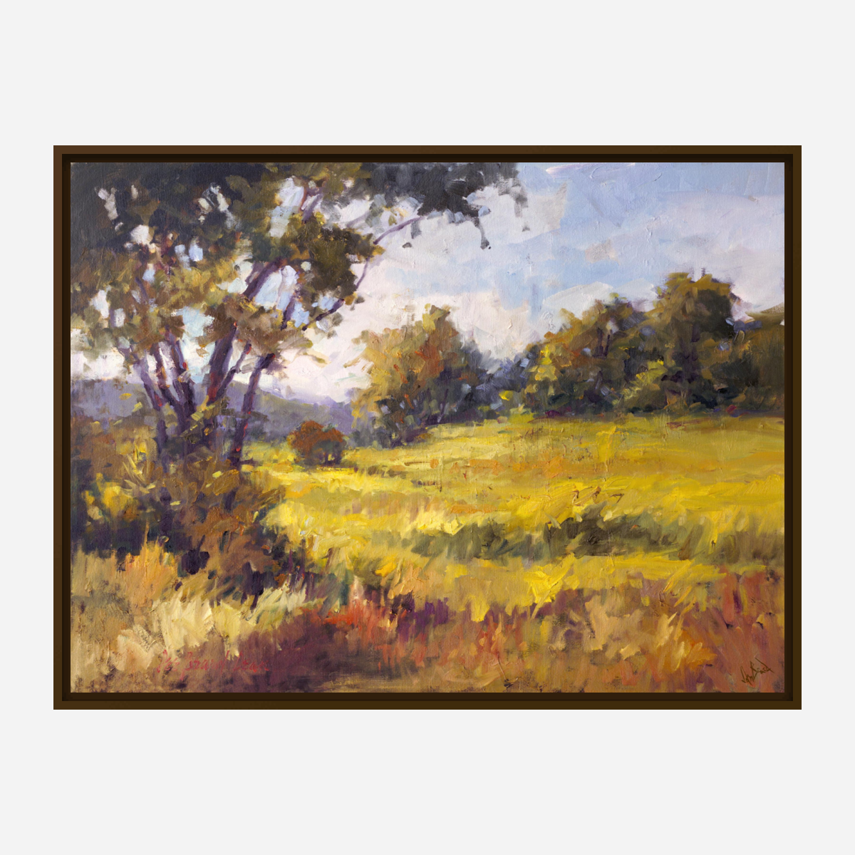 Light on the Meadow Artist Enhanced Canvas Print