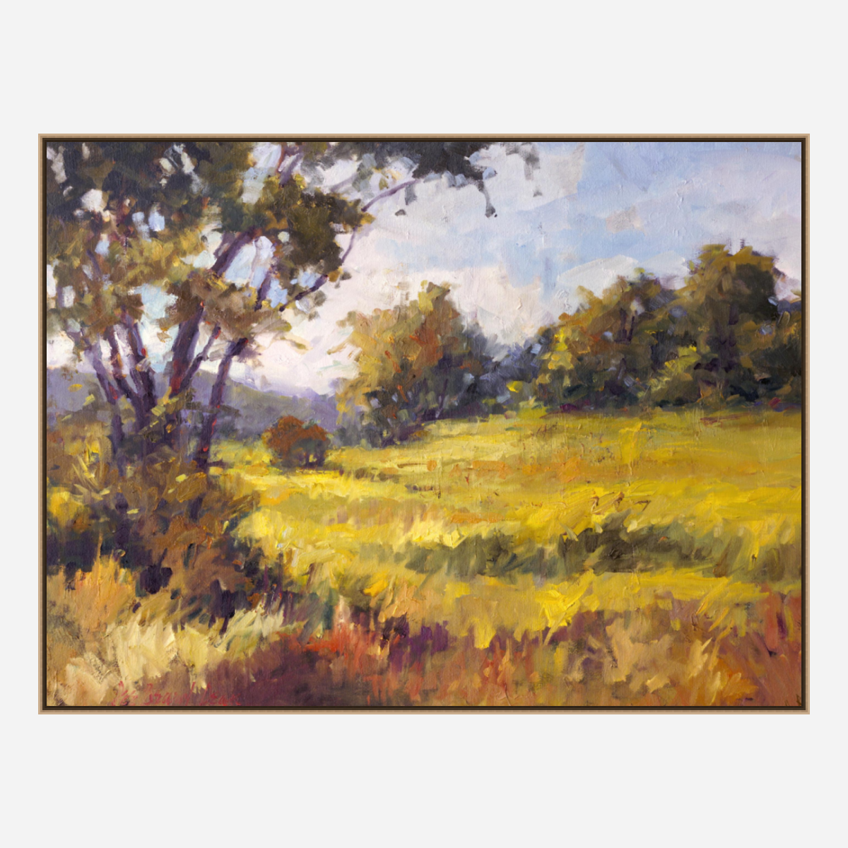 Light on the Meadow Artist Enhanced Canvas Print