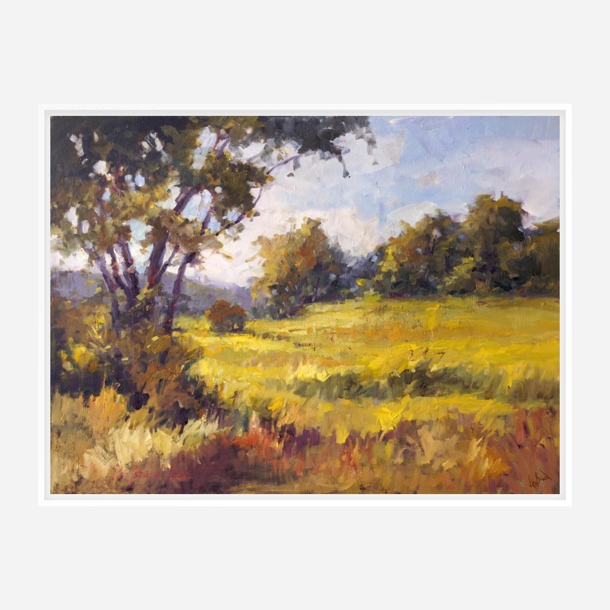 Light on the Meadow Artist Enhanced Canvas Print