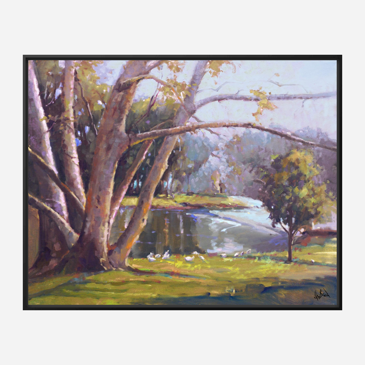 Looking Over Artist Enhanced Canvas Print