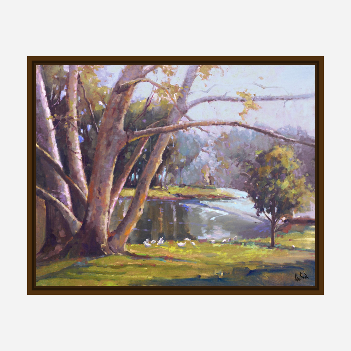 Looking Over Artist Enhanced Canvas Print