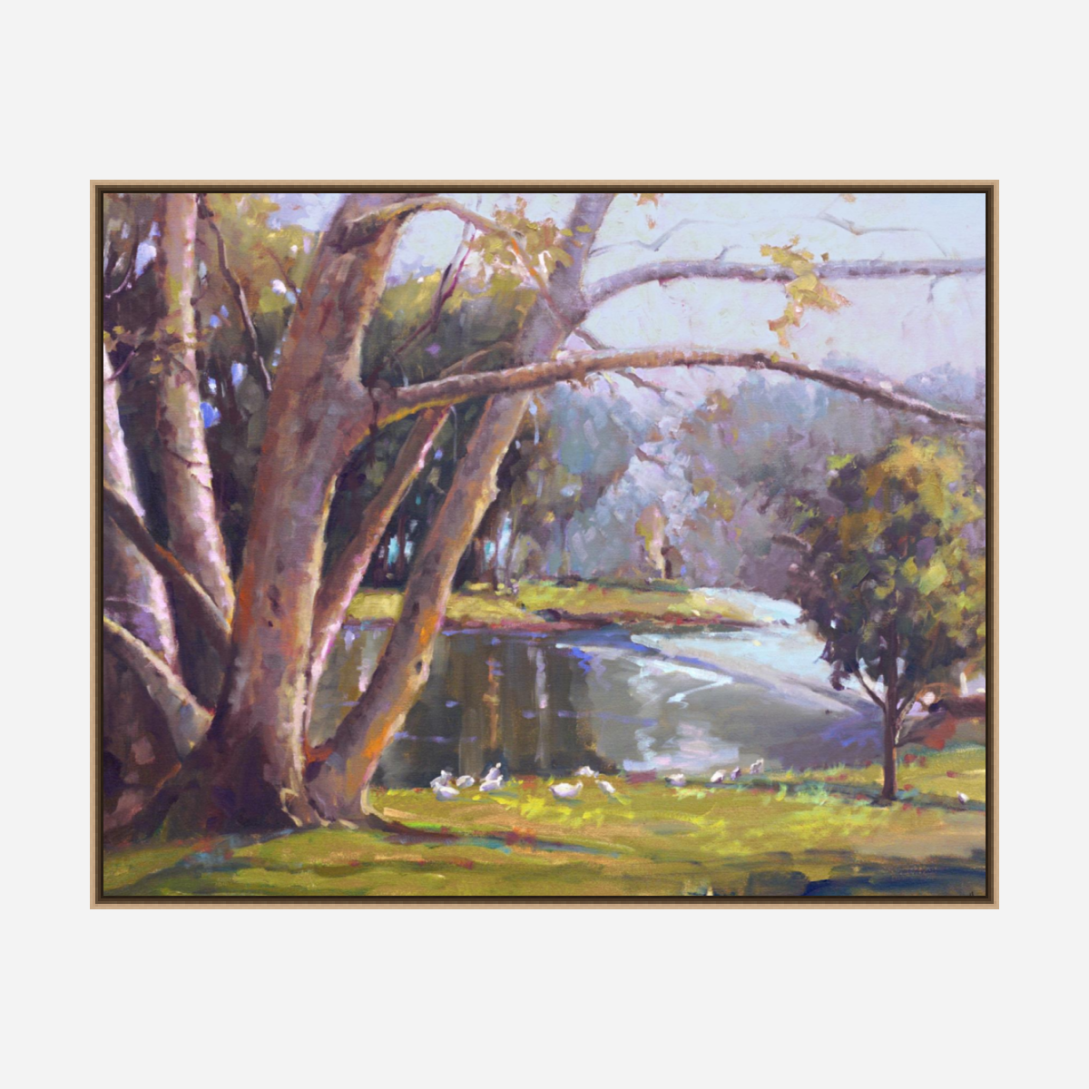 Looking Over Artist Enhanced Canvas Print