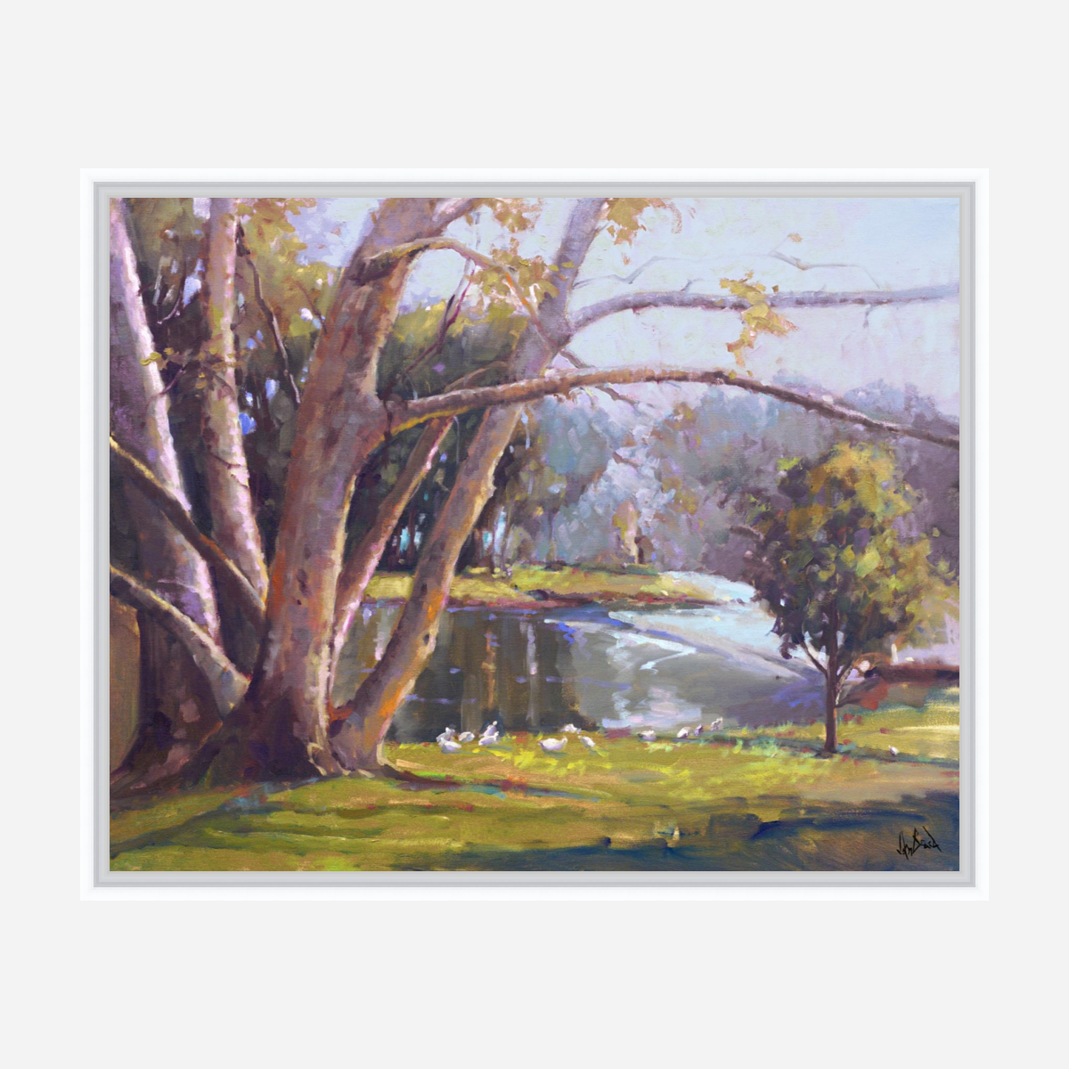 Looking Over Artist Enhanced Canvas Print