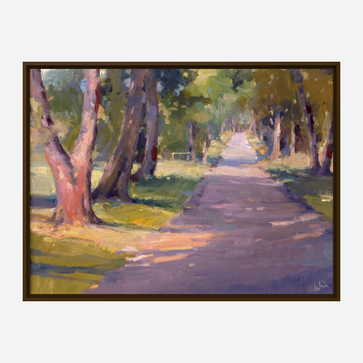 Roadside Shadow Artist Enhanced Canvas Print