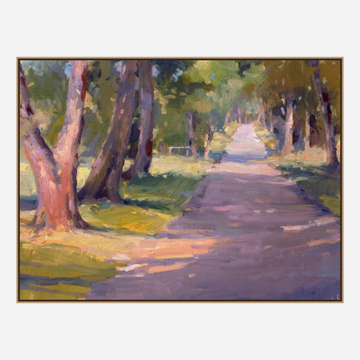 Roadside Shadow Artist Enhanced Canvas Print