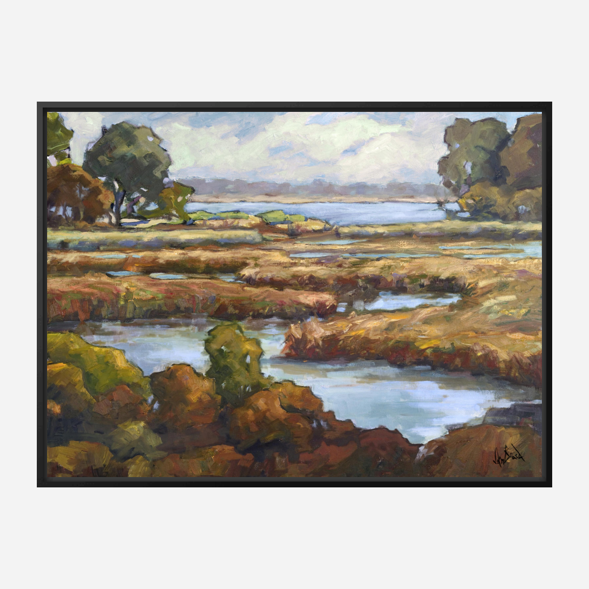 Spoonbill Marsh Artist Enhanced Canvas Print