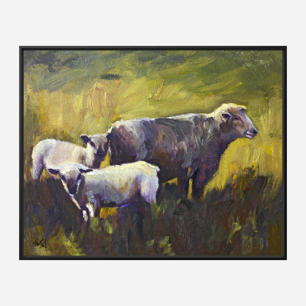 Three Sheep Artist Enhanced Canvas Print