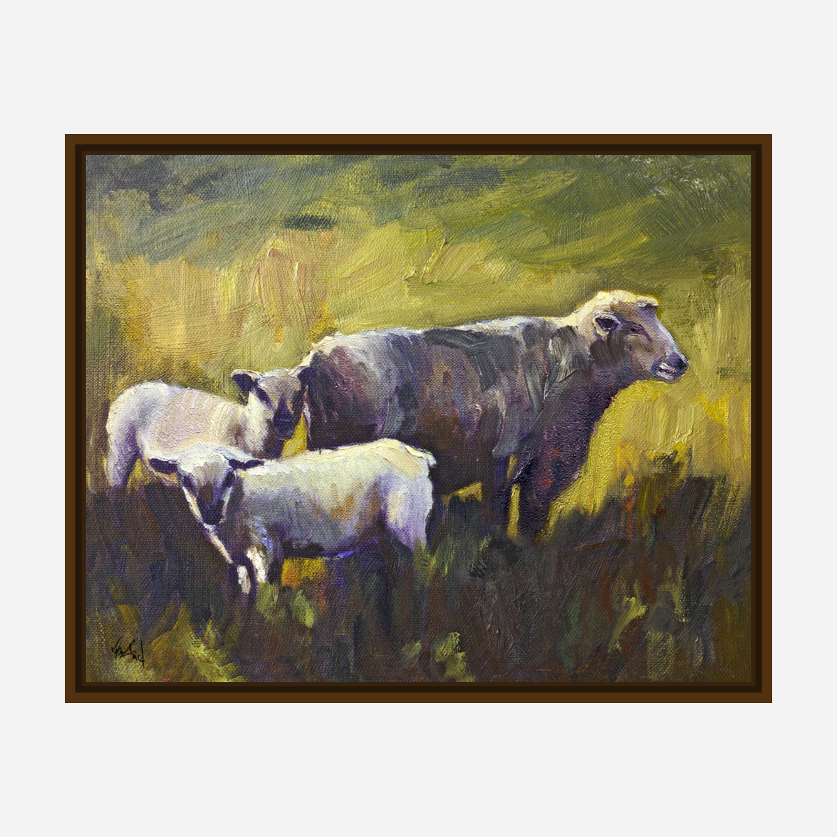 Three Sheep Artist Enhanced Canvas Print