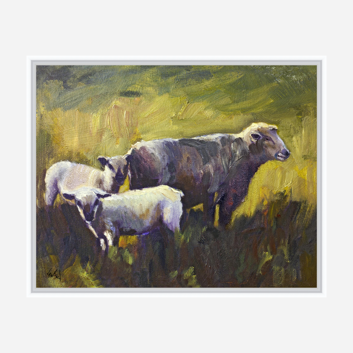 Three Sheep Artist Enhanced Canvas Print