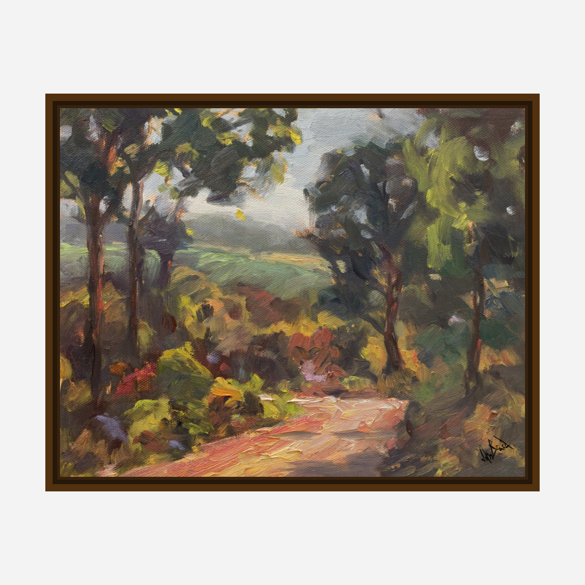 Tuscan Path Artist Enhanced Canvas Print