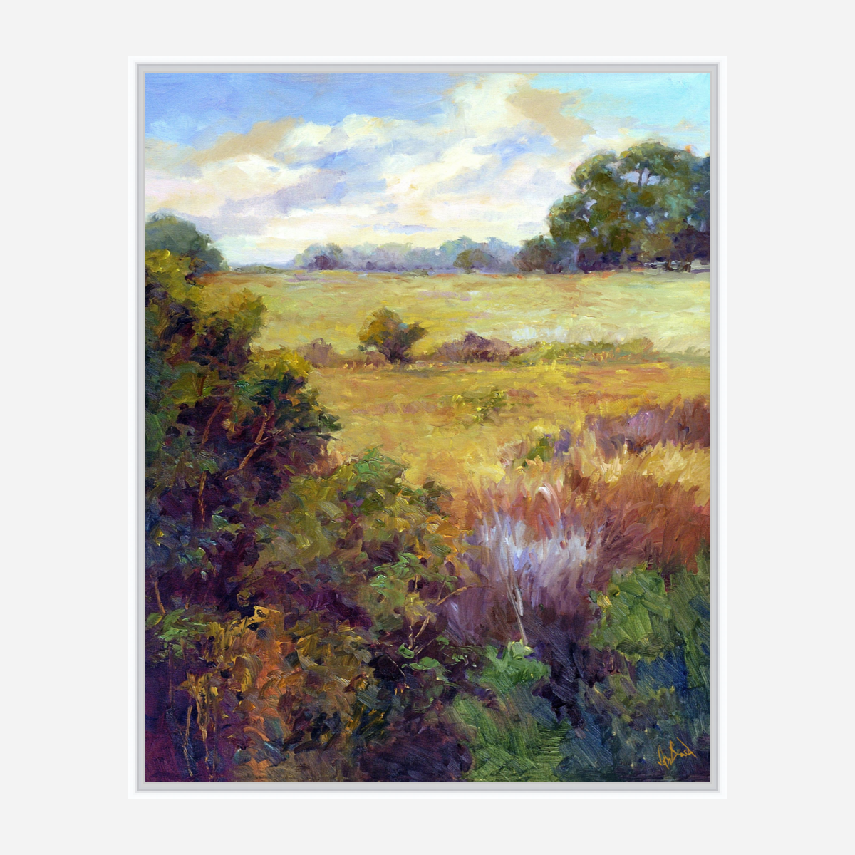 View of the Marsh Artist Enhanced Canvas Print