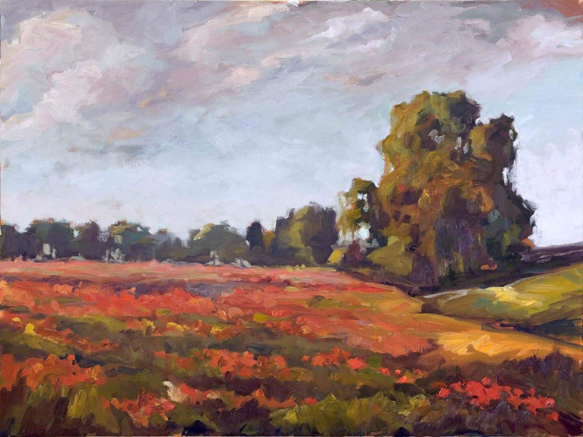 Landscape Art Sea of Poppies John Beard Collection