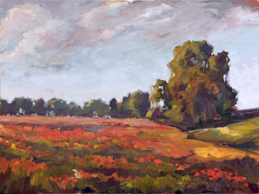 Landscape Art Sea of Poppies John Beard Collection